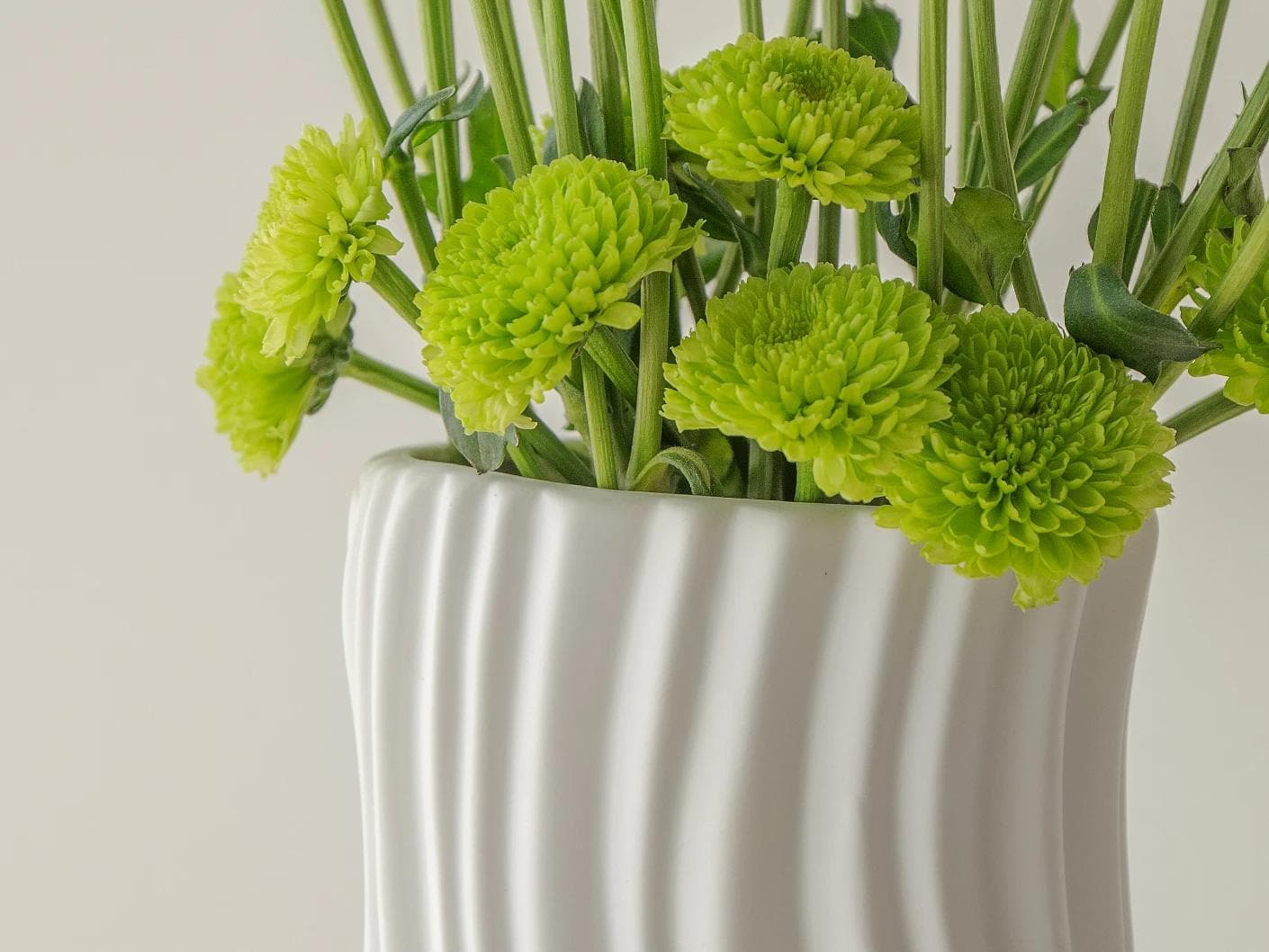 Baiza Arneson vases in white, shown in a lifestyle front view as image 4
