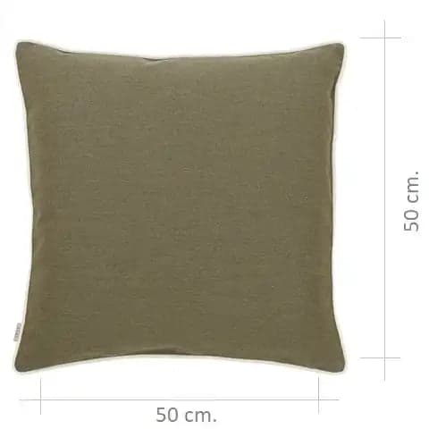 Aelia Olive