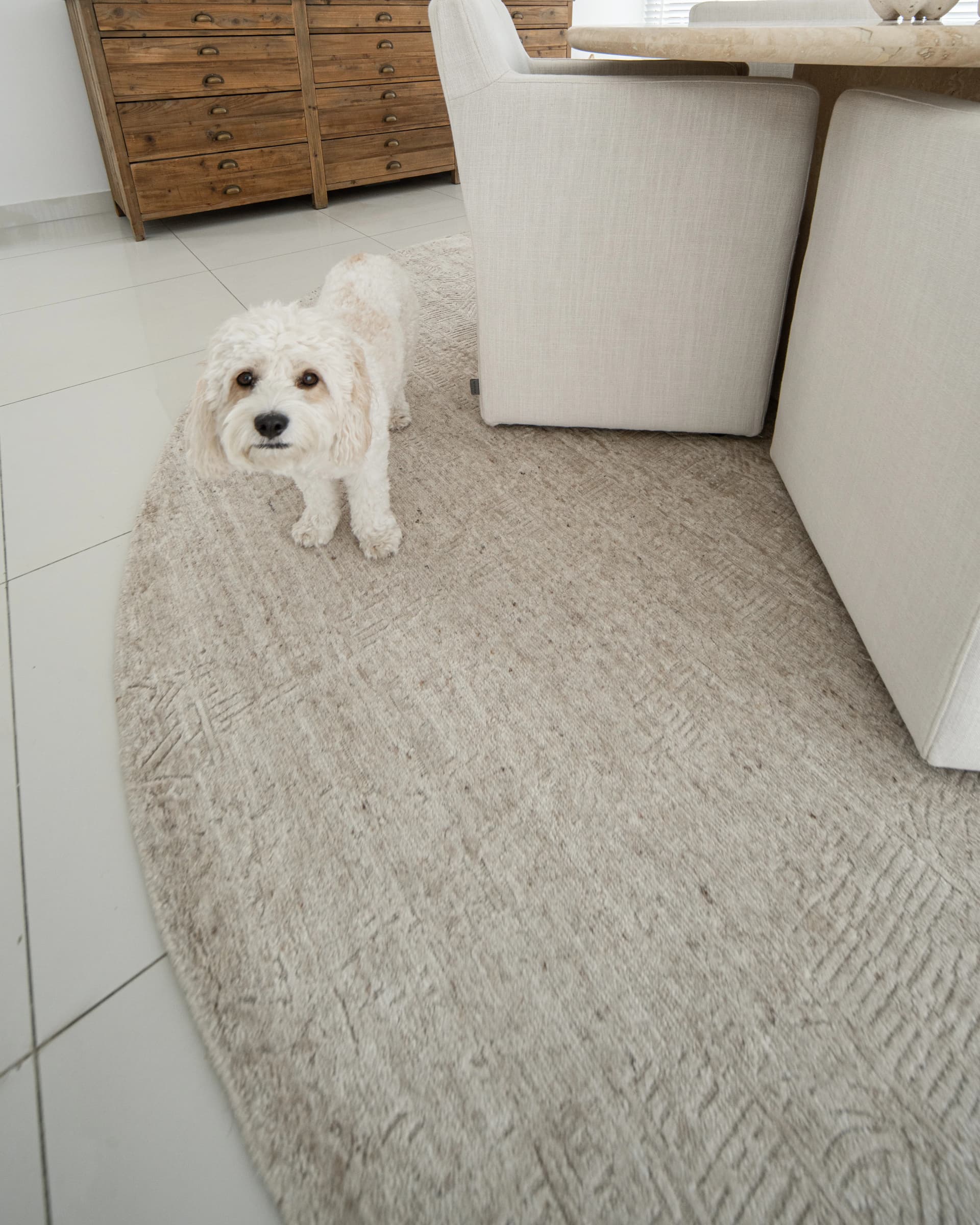 Eh Ava Limestone Round pots, shown in a lifestyle top view as video image