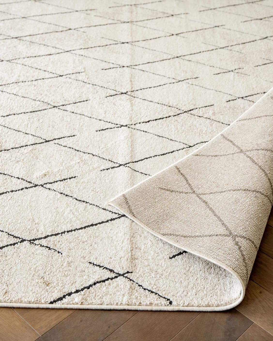 Renzo Ebony carpet in beige, shown in a product close-up as image 9