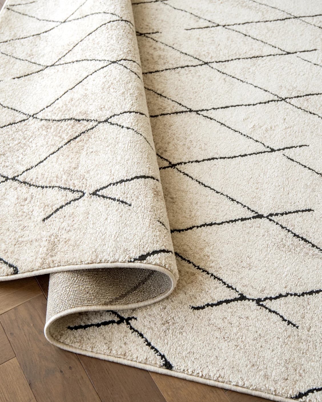 Renzo Ebony carpet in beige, shown in a product close-up as image 10