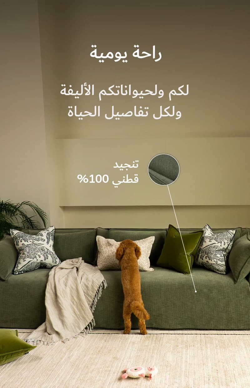 SOFA_USP-D