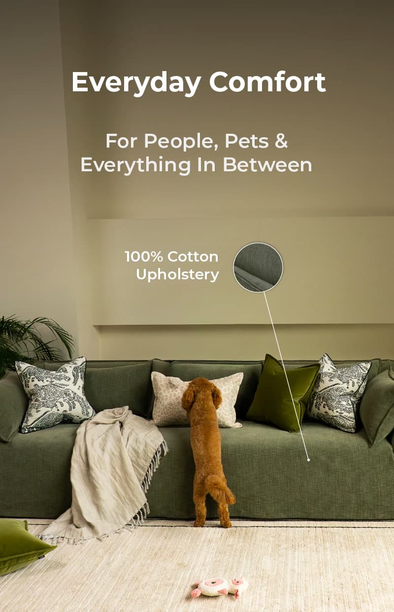 SOFA_USP-D