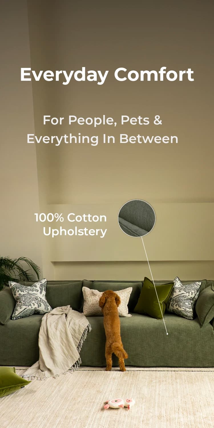 SOFA_USP