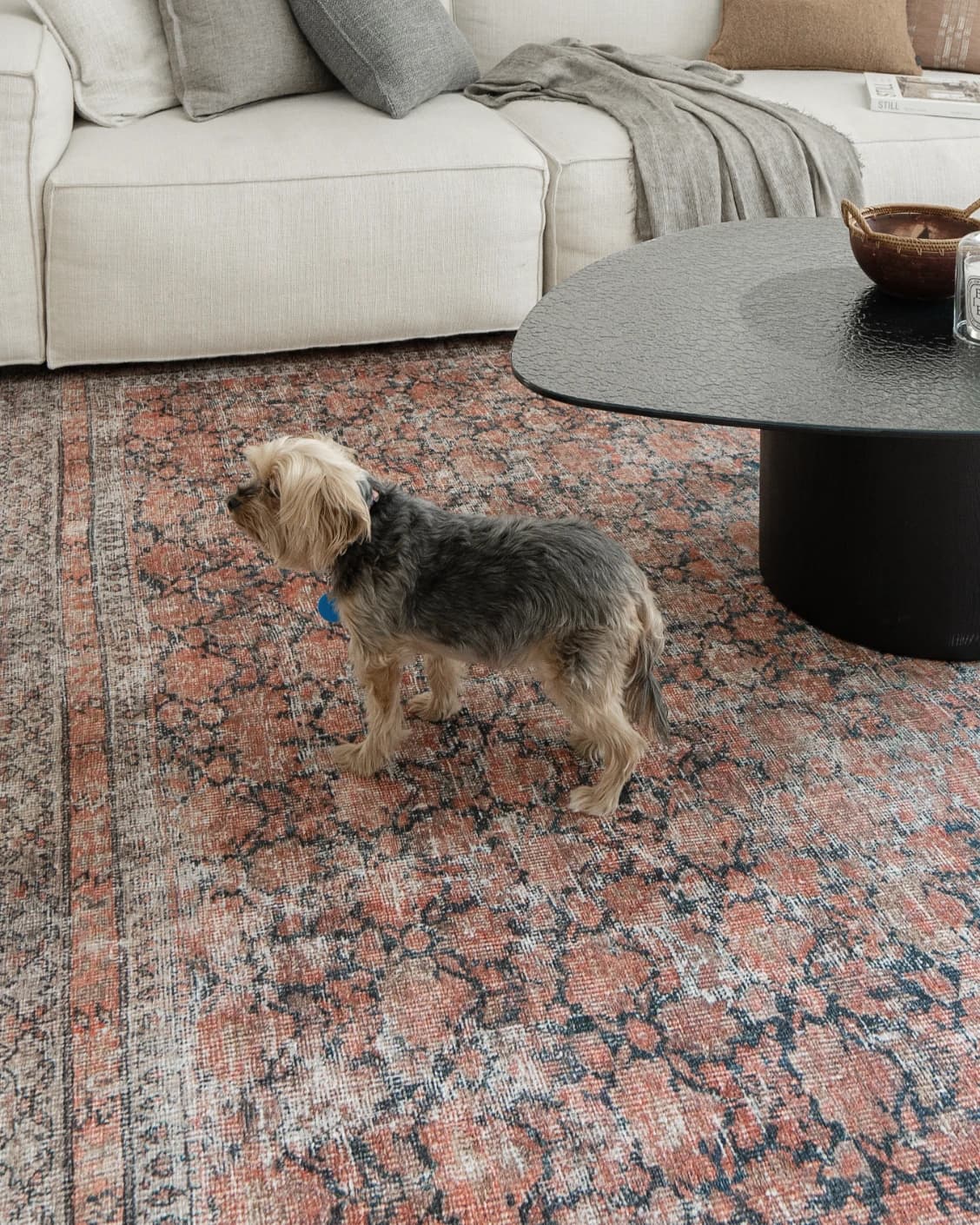 Vincent Terracotta carpet in rust and multicolour, shown in a lifestyle front view as image 11