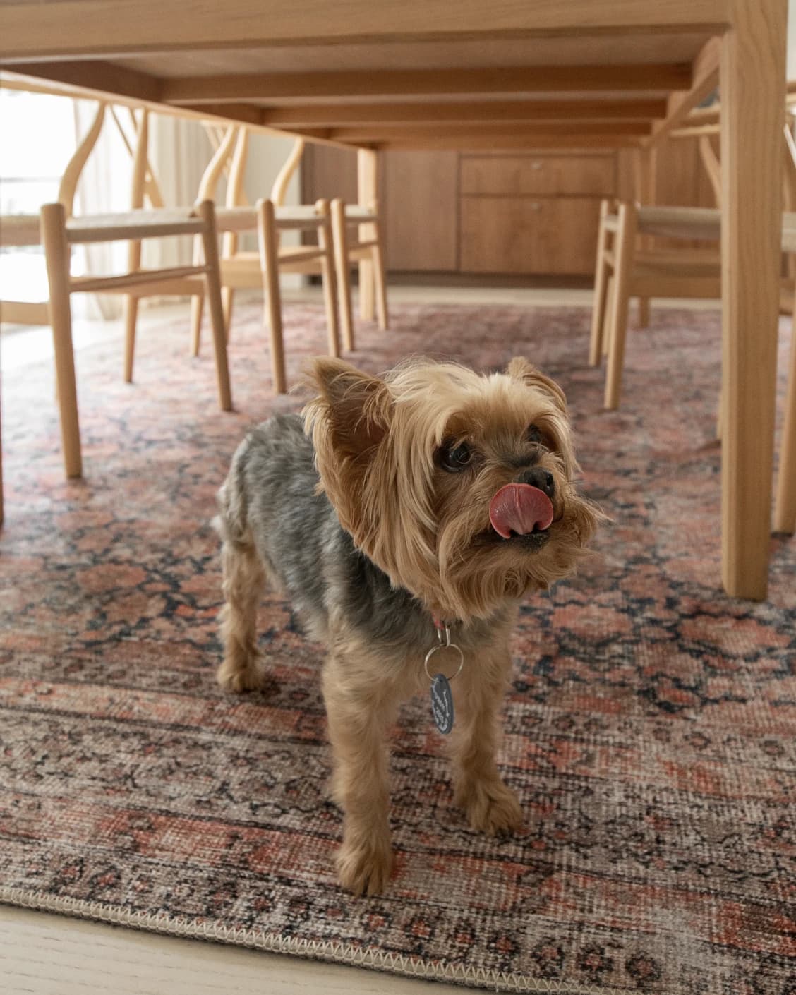 Vincent Terracotta carpet in rust and multicolour, shown in a lifestyle right view as image 26
