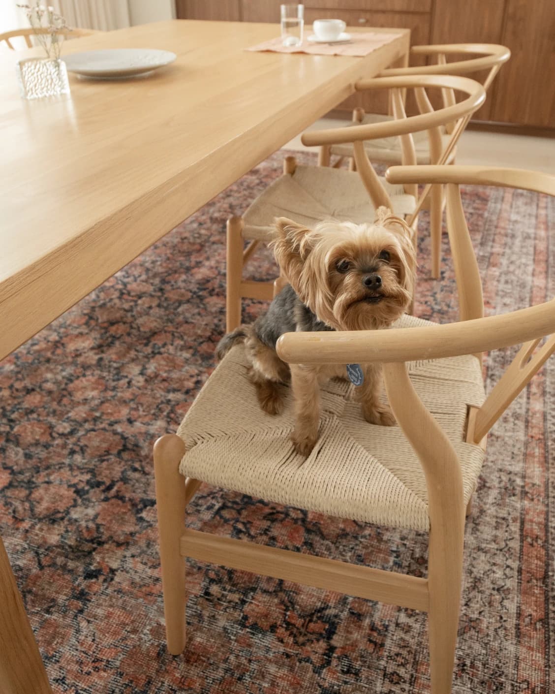 Vincent Terracotta carpet in rust and multicolour, shown in a lifestyle top view as image 28