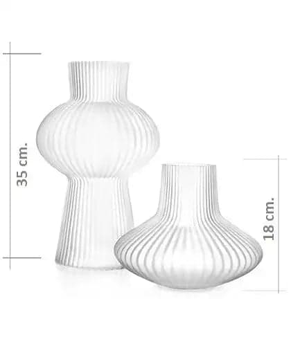 Zenya Bundle