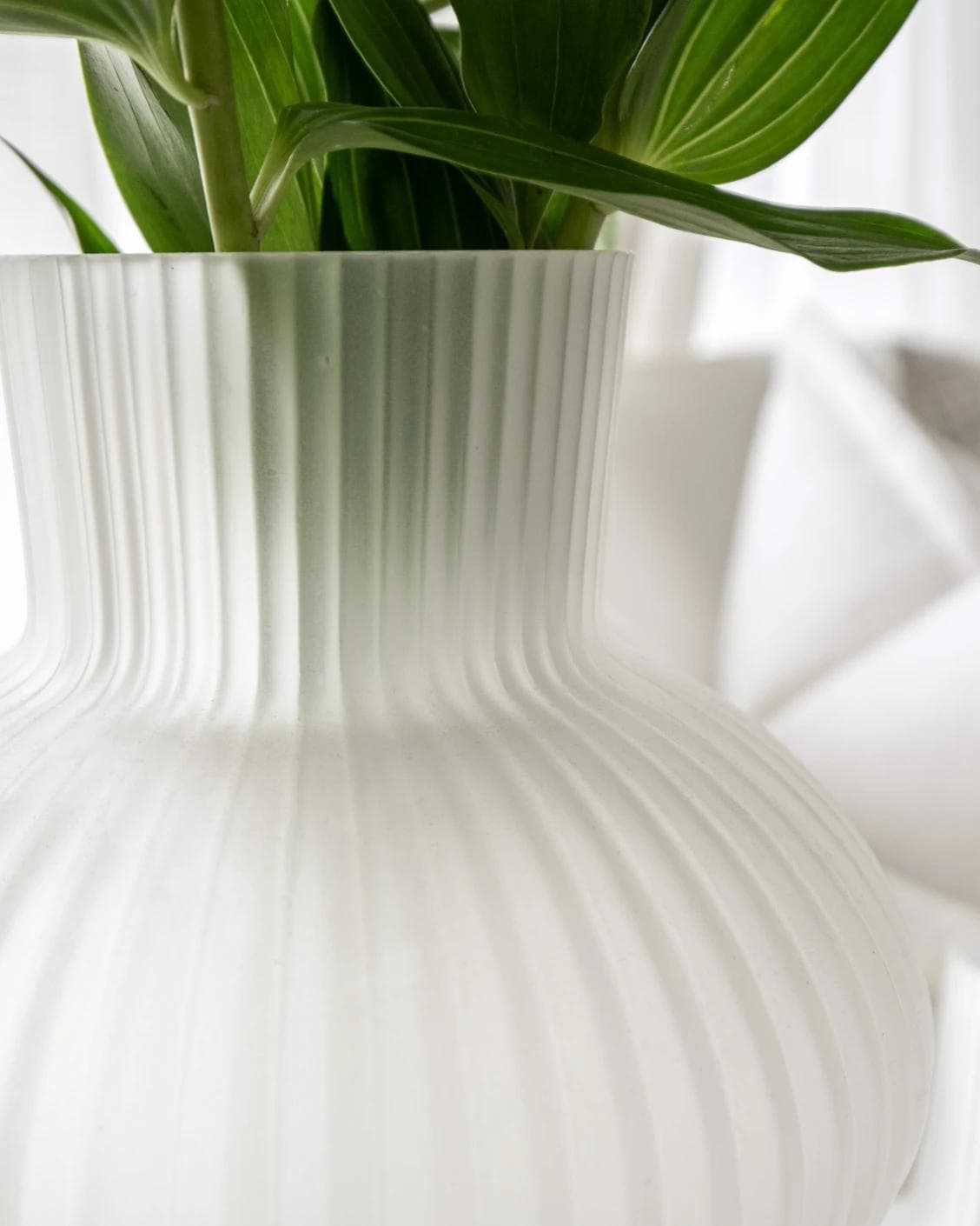 Zenya Bundle vases in white, shown in a lifestyle close-up top view as image 4