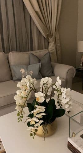 Customer photo