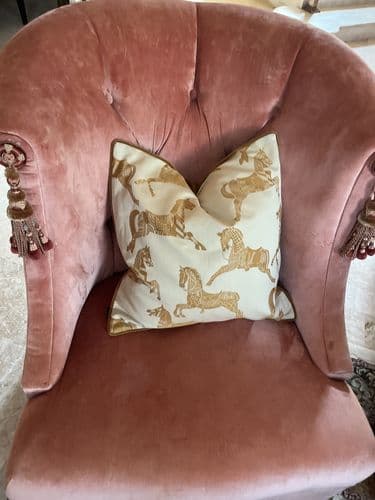 Customer photo